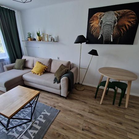 Sienkiewicza Apartament Multi House Rzeszów Extérieur photo