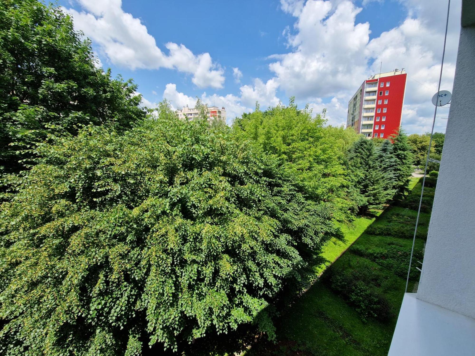 Sienkiewicza Apartament Multi House Rzeszów Extérieur photo